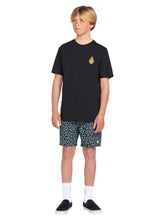Volcom Big Boys Asphalt Beach 15 Boardshort - Black
