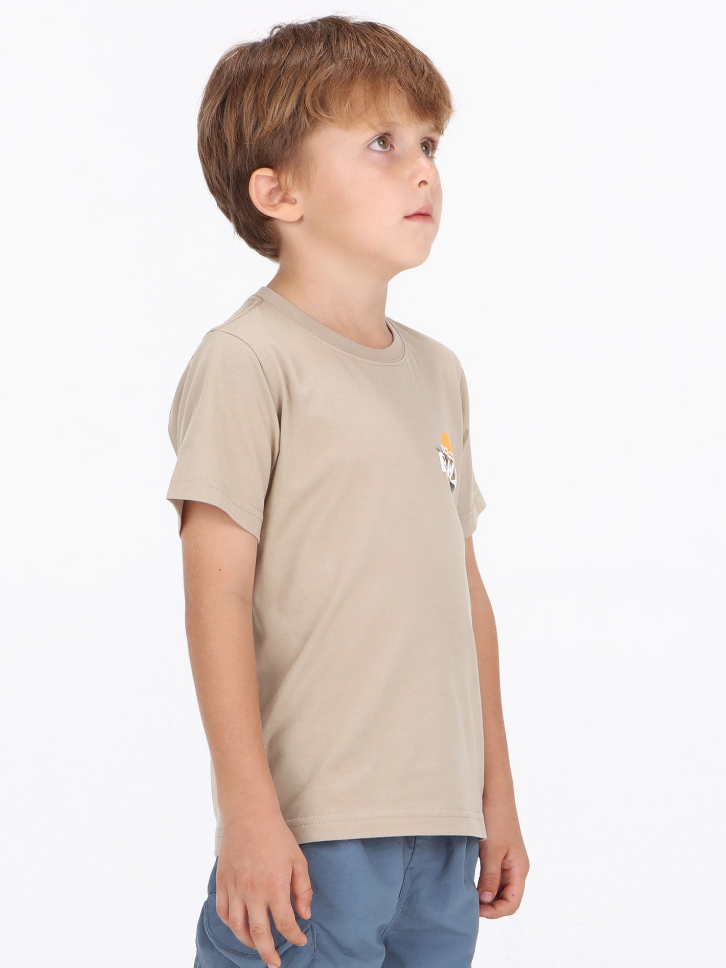Volcom Little Boys Bali Soltide Tee - Desert
